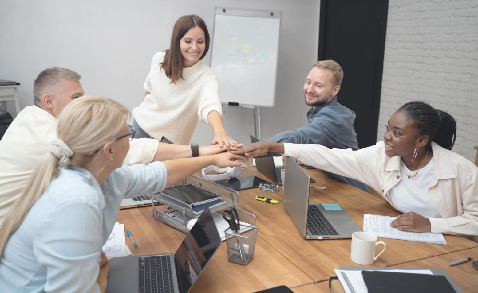 Portfolio Management Grundlagen